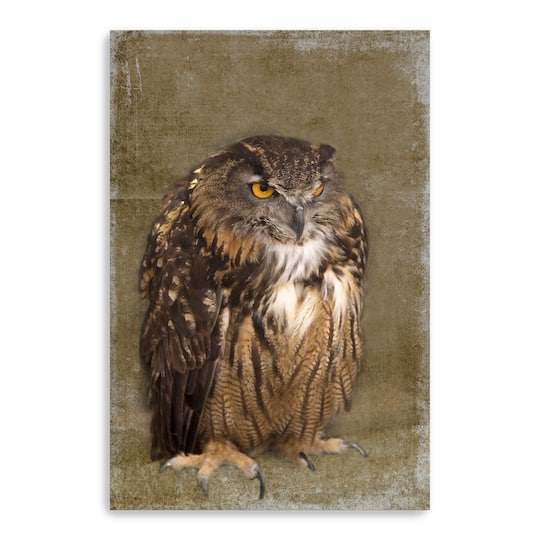 Grumpy Owl Canvas Giclee